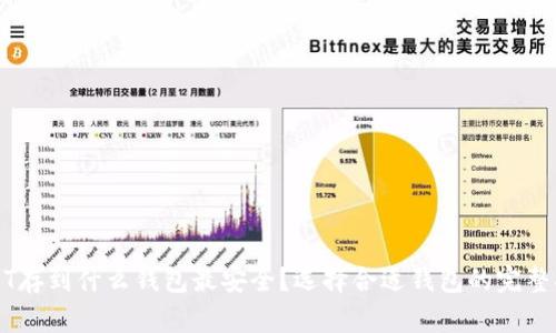 USDT存到什么钱包最安全？选择合适钱包的完整指南