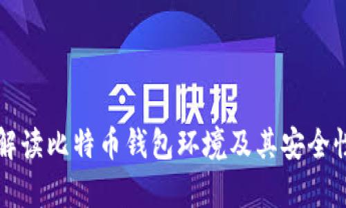 全面解读比特币钱包环境及其安全性分析