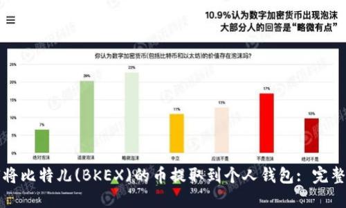 如何将比特儿(BKEX)的币提取到个人钱包: 完整指南