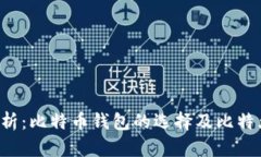 2023年全面解析：比特币钱