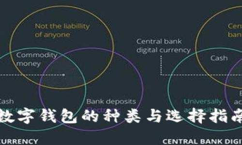 数字钱包的种类与选择指南