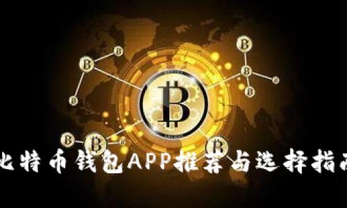 比特币钱包APP推荐与选择指南