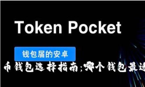 数字货币钱包选择指南：哪个钱包最适合你？