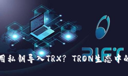 什么钱包可以用私钥导入TRX? TRON生态中的私钥管理指南