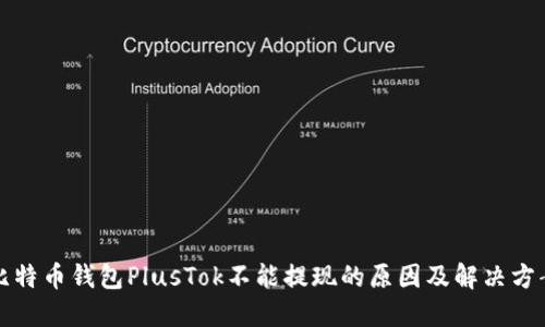 比特币钱包PlusTok不能提现的原因及解决方案