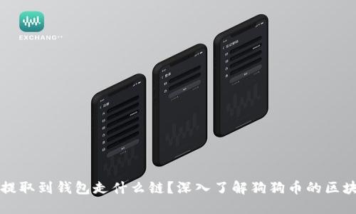 狗狗币提取到钱包走什么链？深入了解狗狗币的区块链技术