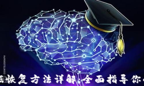 
区块链钱包数据恢复方法详解：全面指导你的数字资产保护