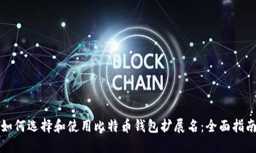 如何选择和使用比特币钱包扩展名：全面指南