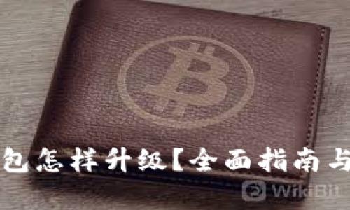 比特币钱包怎样升级？全面指南与步骤解析