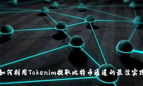 如何利用Tokenim提取比特币通道的最佳实践