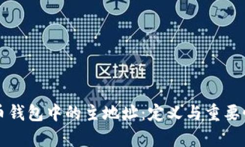 比特币钱包中的主地址：定义与重要性解析