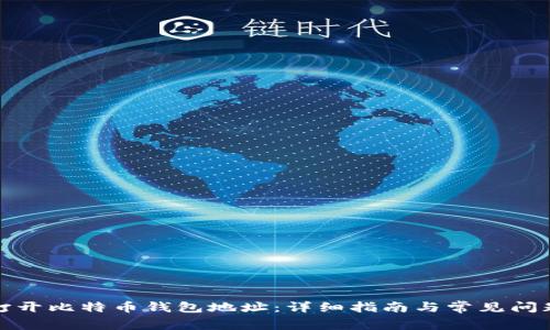 如何打开比特币钱包地址：详细指南与常见问题解答