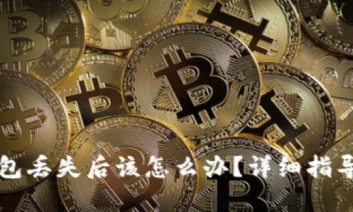 比特币硬钱包丢失后该怎么办？详细指导与解决方案
