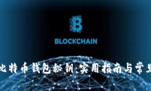 如何找回比特币钱包秘钥：实用指南与常见问题解答