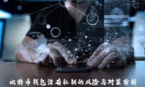 
比特币钱包没有私钥的风险与对策分析