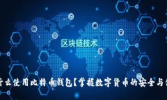 为什么使用比特币钱包？