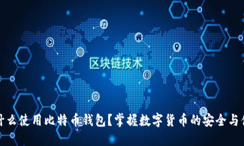 为什么使用比特币钱包？掌握数字货币的安全与便捷