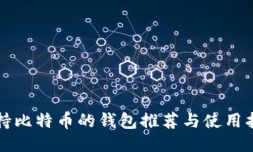支持比特币的钱包推荐与使用指南