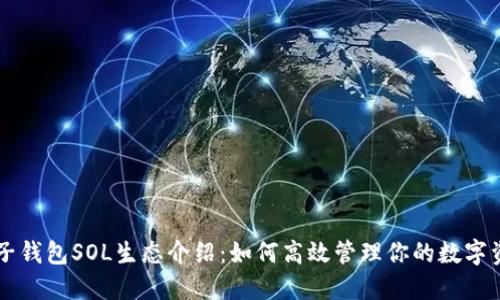 麦子钱包SOL生态介绍：如何高效管理你的数字资产