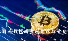 如何解决比特币钱包同步
