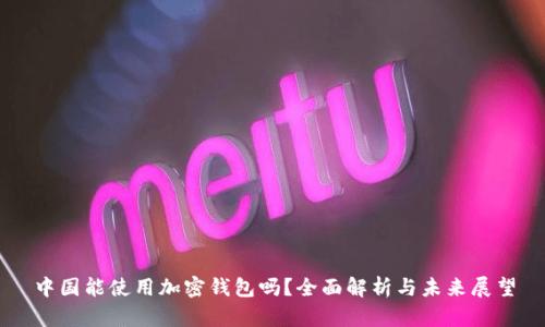 中国能使用加密钱包吗？全面解析与未来展望