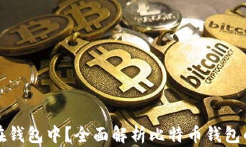 
比特币为什么要放在钱包中？全面解析比特币钱包的安全性与使用价值
