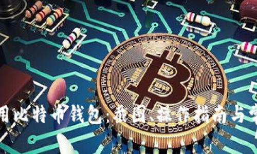 如何安全使用比特币钱包：截图、操作指南与常见问题解答