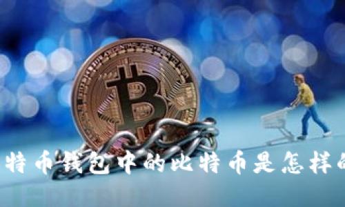 比特币钱包中的比特币是怎样的？