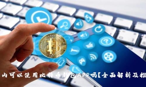 国内可以使用比特币钱包APP吗？全面解析及推荐