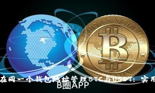 如何在同一个钱包地址管理BTC与USDT: 实用指南