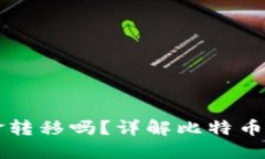 比特币钱包能实现现金转移吗？详解比特币及其