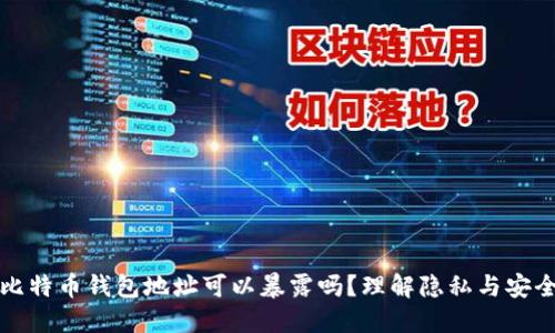 比特币钱包地址可以暴露吗？理解隐私与安全