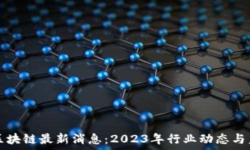   
海豚区区块链最新消息：2023年行业动态与未来展望