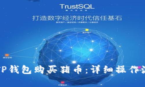 如何通过TP钱包购买猪币：详细操作流程与图解